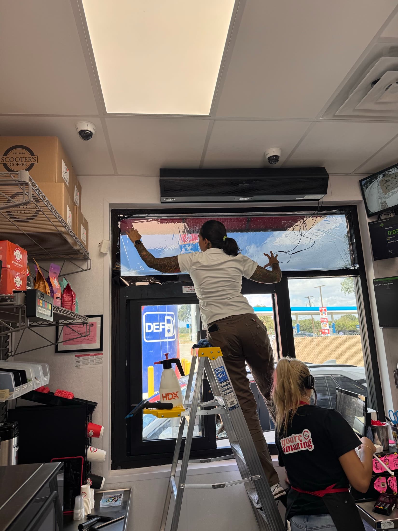 Professionally tinted windows by Paine and Sons